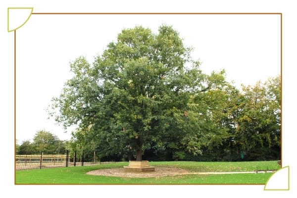 Halden Heights Luxury Residential And Nursing